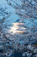 德国世界杯 塞黑队-德国世界杯与塞黑队的传奇之旅