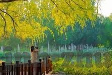 足球预测比分-足球预测比分，艺术与科学的交融